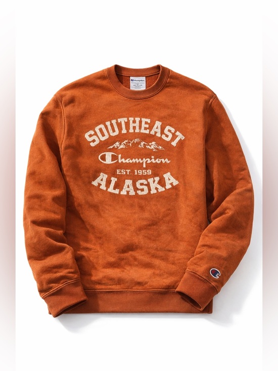 Champion Other - Vintage Champion Alaska Crewneck Sweatshirt Retro Graphic Pullover Streetwear 2X